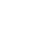 DWS