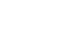 Naik Level